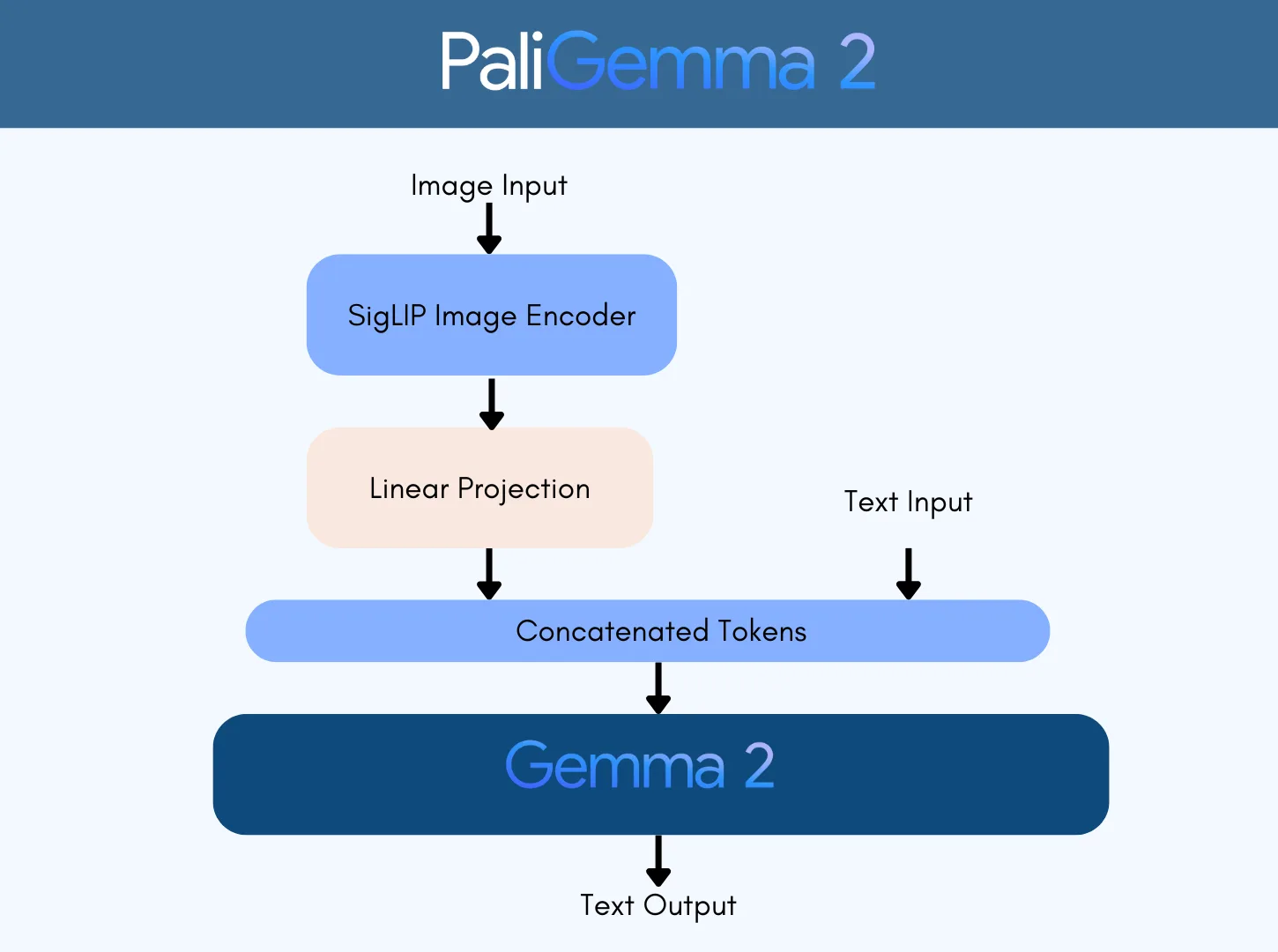 A diagram showing how PaliGemma 2 accepts image input, which is processed by the SigLIP ImageEncoder and processed by a linear projection before those tokens are concatenated with the text tokens and passed to Gemma 2 before generating text output.