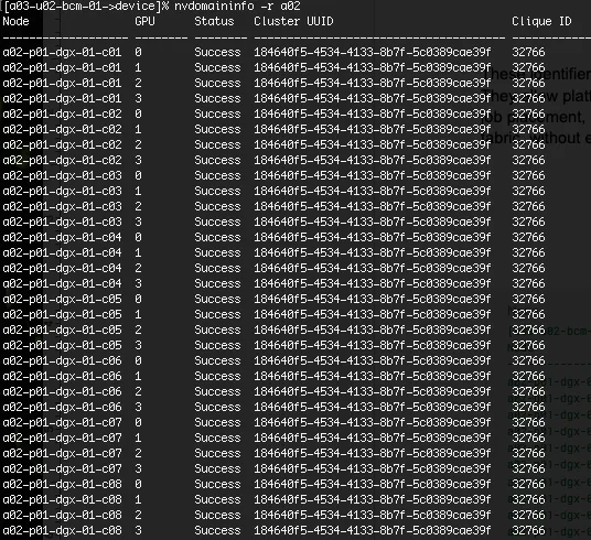Screen capture of Cluster UUID and Clique IDs in NVIDIA Mission Control.