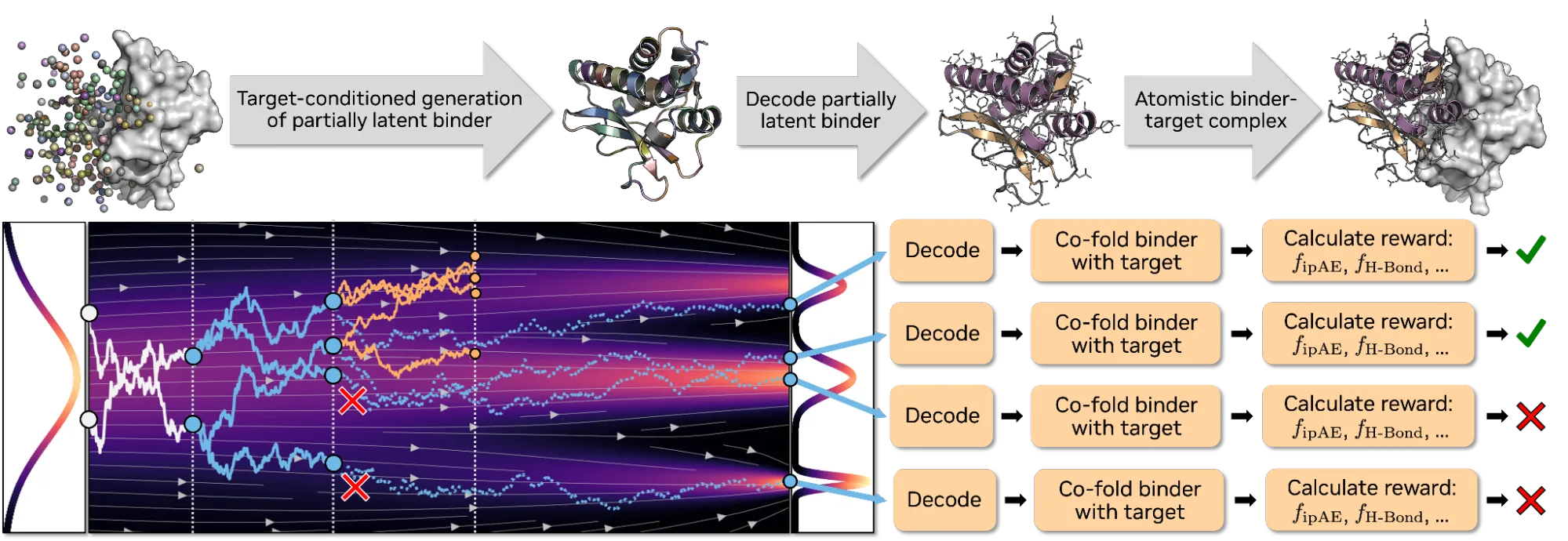 A two-part diagram illustrating how the Proteina-Complexa model generates protein binders. The top panel shows the overall generation process, where the target protein structure guides the generation of the protein binder. The bottom panel shows how inference-time compute scaling through search algorithms and reward functions can steer generation toward high-quality binders.
