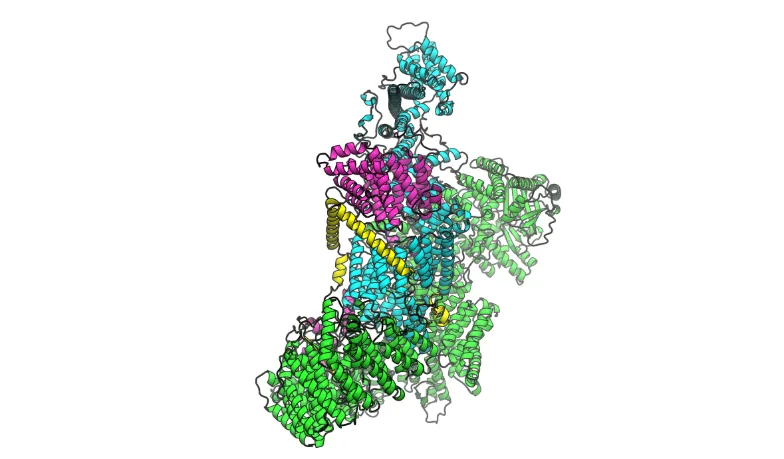 The structural visualization shows a Boltz-2 model prediction of the TTC7A/PI4KA/FAM126A/EFR3A complex, comprising 3,605 residues across multiple subunits. Distinct colors highlight the individual components, including PI4KA in green, TTC7A in cyan, FAM126A in magenta, and the intrinsically disordered EFR3A C-terminus in yellow.