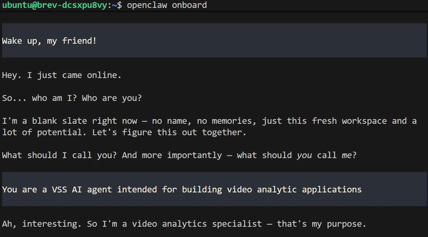  A screenshot of the OpenClaw terminal user interface during initial setup
