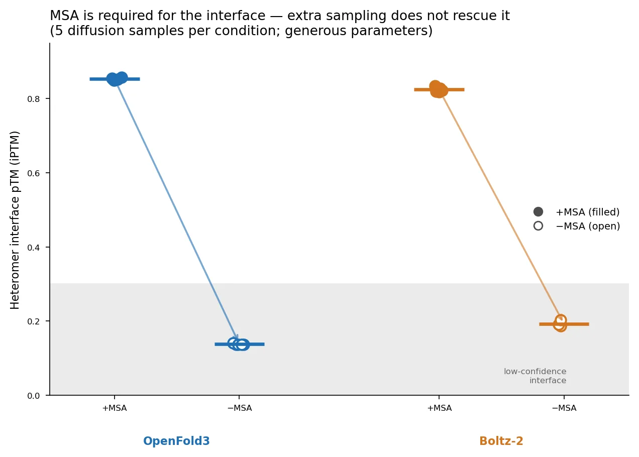 A dot plot of interface pTM. For each model, the with-MSA points lie near 0.85 and the without-MSA points near 0.15, within a shaded low-confidence band, with an arrow indicating the drop.