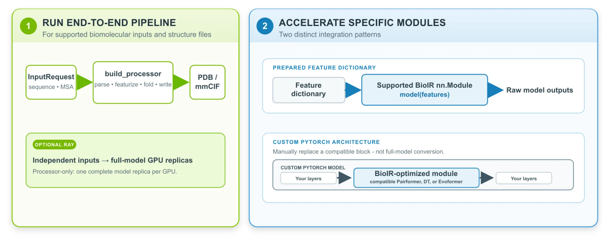 A two-column diagram compares the BioIR end-to-end processor with direct PyTorch model integration and maps kernel, CUDA Graph, and Ray pipeline optimization levels to the applicable path.