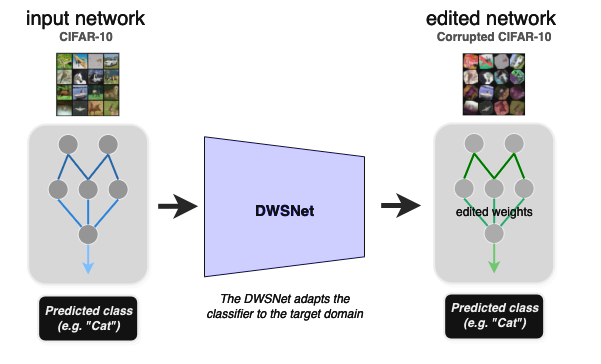 Domain adaptation using DWSNets. The DWSNet takes as input a network trained on a source domain (CIFAR10) and its taks is to change the weights such that the output network performs well on a target domain (a corrupted version of CIFAR10).