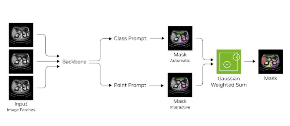 Diagram showing the architecture of VISTA-3D featuring the two prompt heads that help with automatic or interactive segmentation
