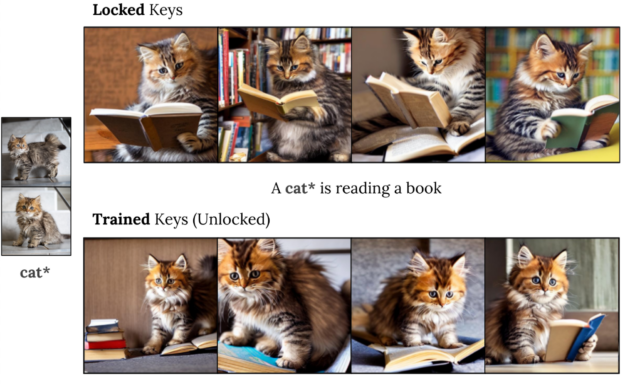 Images of a cat reading a book generated with key locking.